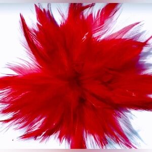 Red Feather Fascinator Hair Clip. Handmade in USA.
Ostrich feather accent.